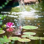 Gartenbrunnen: Kleiner Wohlfühlort für große Entspannung