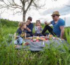 Familie auf der Wiese beim Picknick