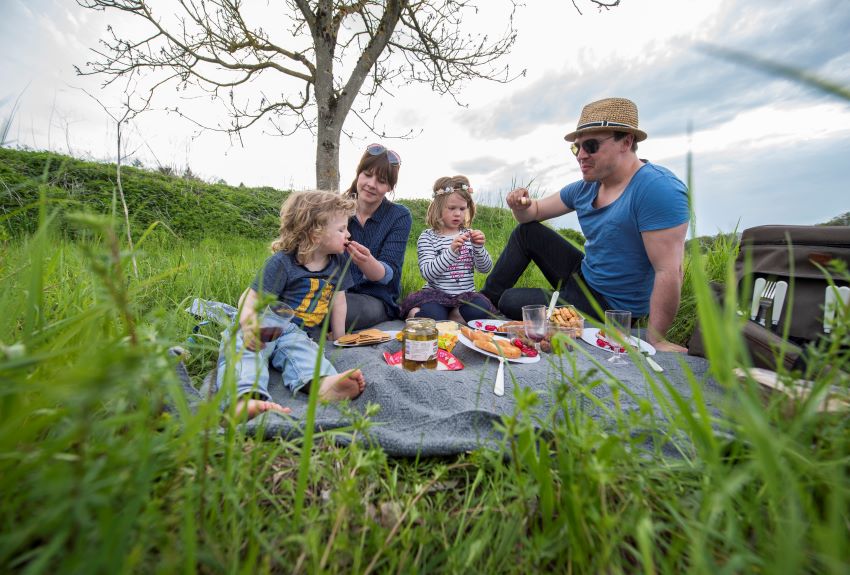 Familie auf der Wiese beim Picknick