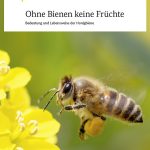 Bienen sind extrem wichtig: Verdrängen Honigbienen die Wildbienen?