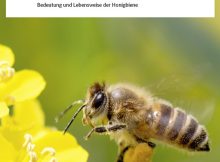 Ohne Bienen, keine Früchte: Broschüre der Bundesanstalt für Landwirtschaft und Ernährung