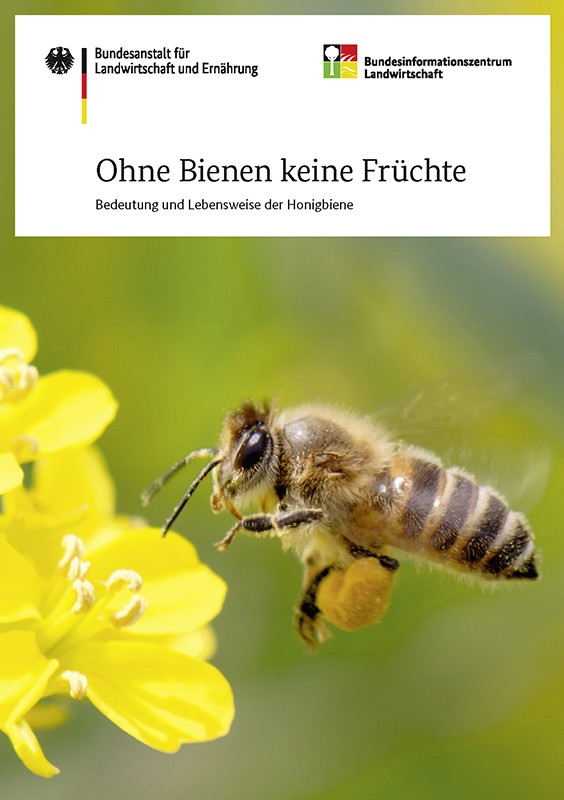 Ohne Bienen, keine Früchte: Broschüre der Bundesanstalt für Landwirtschaft und Ernährung