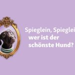 Spieglein, Spieglein an der Wand, wer ist der Schönste im ganzen Land?